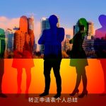 转正申请表个人总结