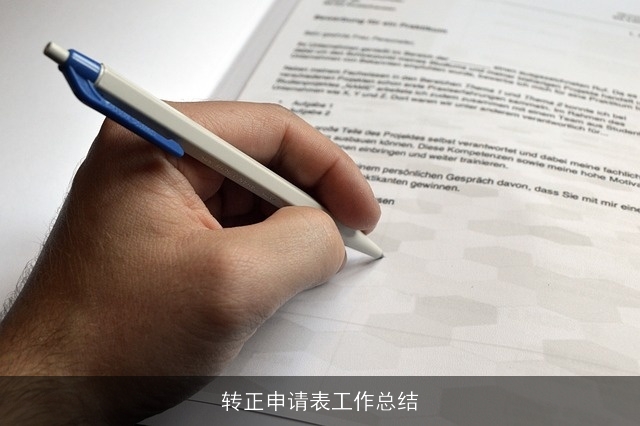 转正申请表工作总结