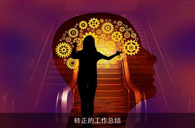 转正的工作总结