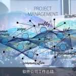 软件公司工作总结