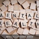 辅导员个人工作总结范文500字