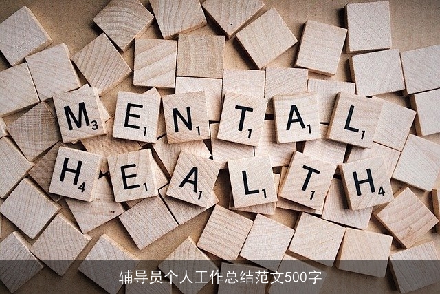 辅导员个人工作总结范文500字