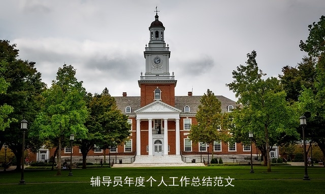 辅导员年度个人工作总结范文