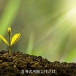 通用试用期工作总结