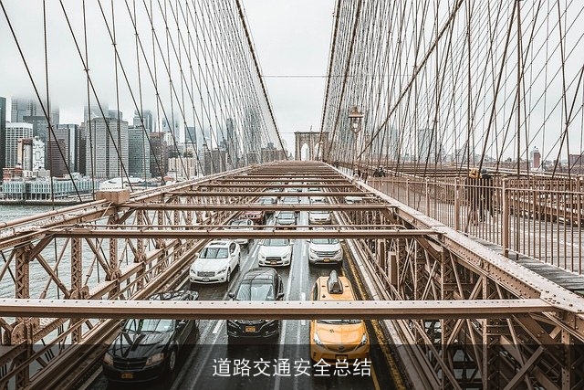 道路交通安全总结