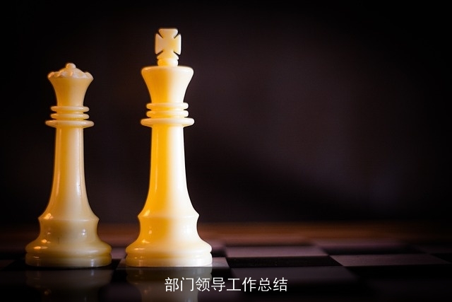 部门领导工作总结