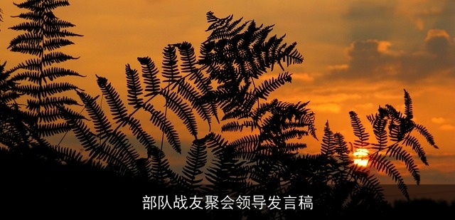 部队战友聚会领导发言稿