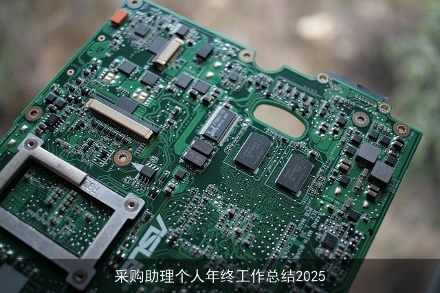 采购助理个人年终工作总结2025