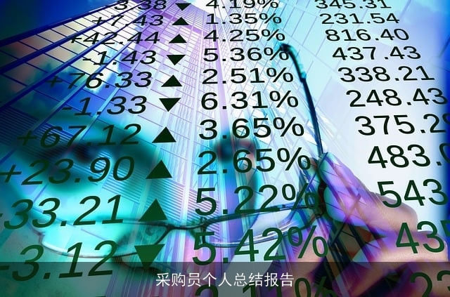 采购员个人总结报告