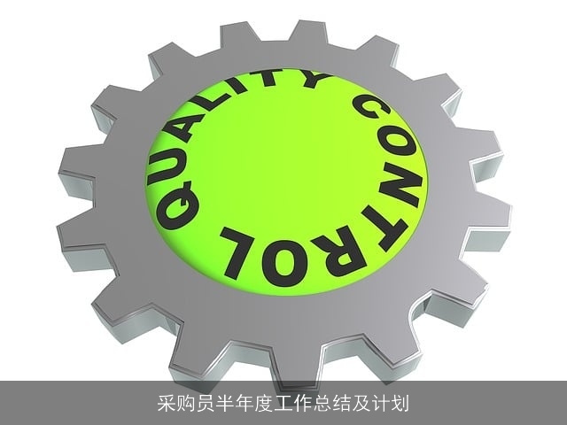 采购员半年度工作总结及计划
