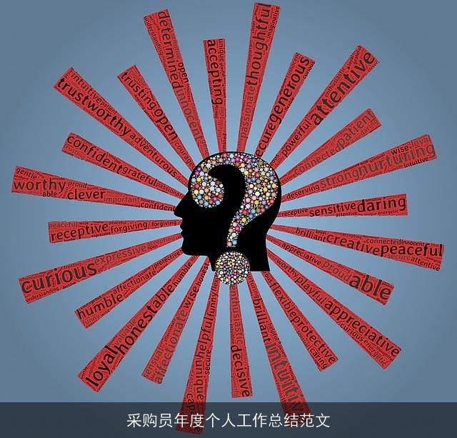 采购员年度个人工作总结范文