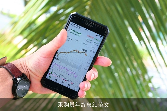 采购员年终总结范文