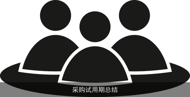 采购试用期总结