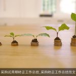 采购试用期转正工作总结_采购转正工作总结范文