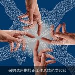 采购试用期转正工作总结范文2025