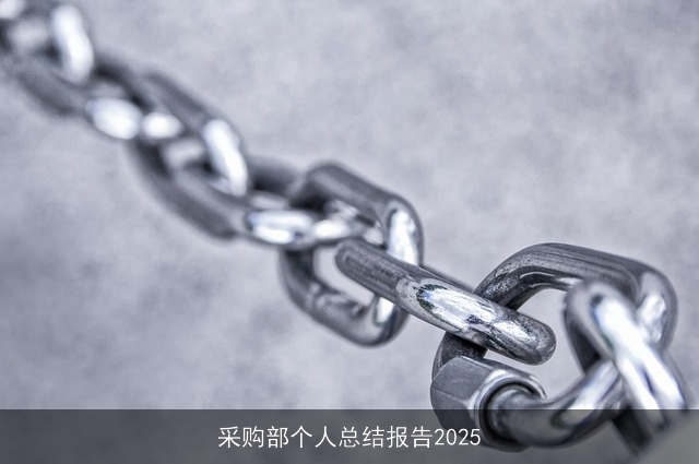 采购部个人总结报告2025