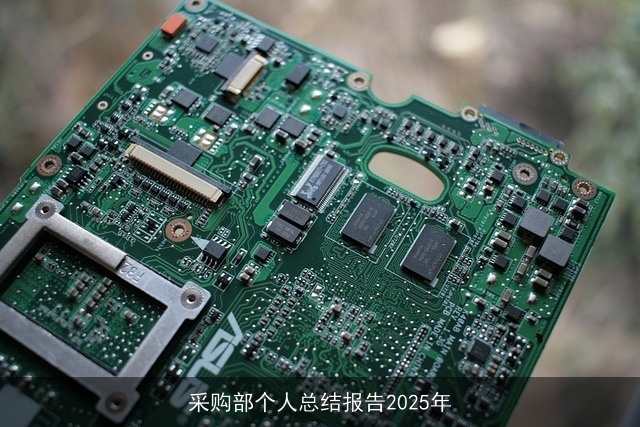 采购部个人总结报告2025年