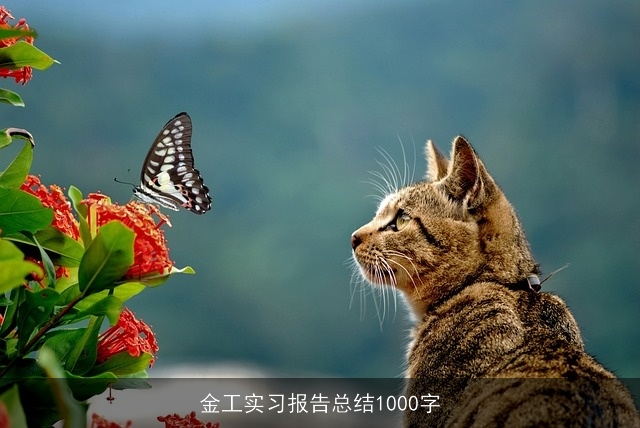 金工实习报告总结1000字