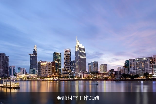 金融村官工作总结