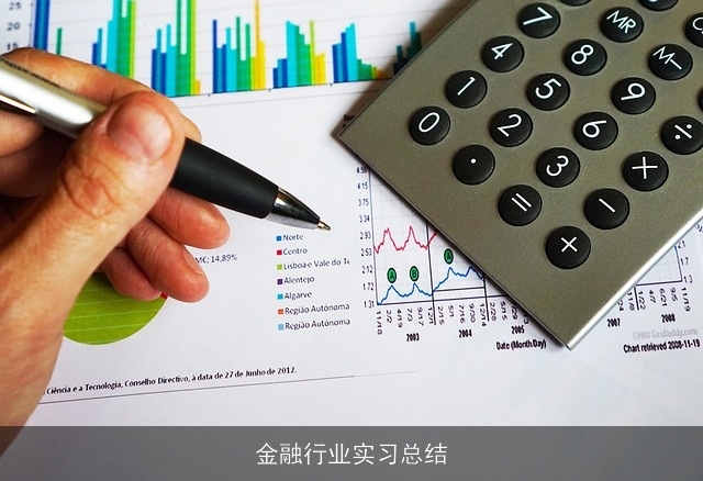 金融行业实习总结