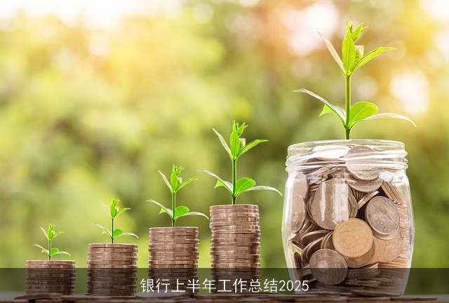 银行上半年工作总结2025