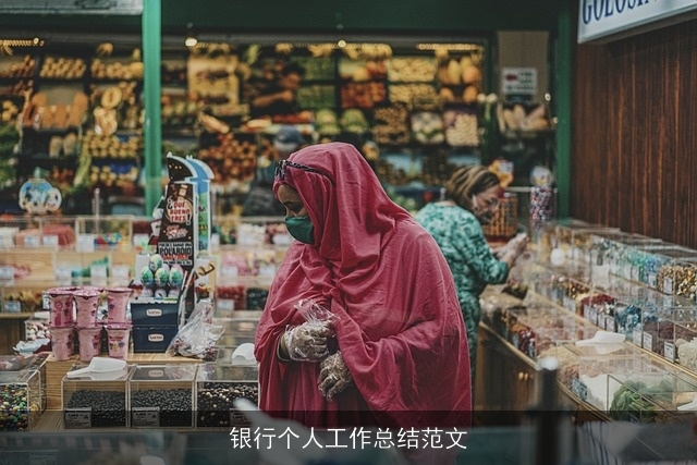 银行个人工作总结范文