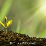 银行个人总结范文1000字