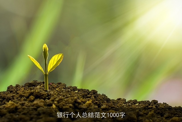 银行个人总结范文1000字