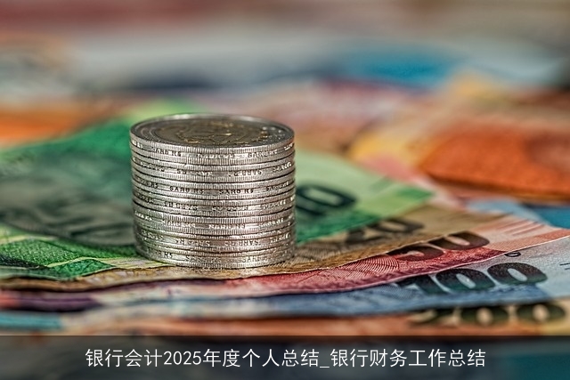 银行会计2025年度个人总结_银行财务工作总结