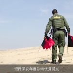 银行保安年度总结优秀范文