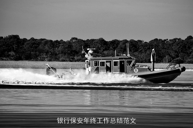 银行保安年终工作总结范文