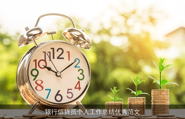 银行信贷员个人工作总结优秀范文