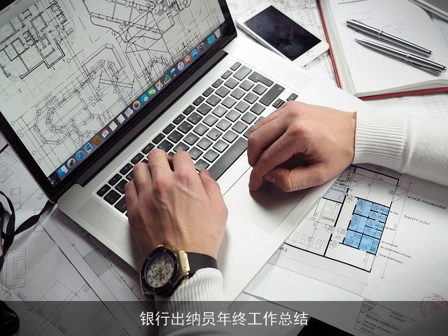 银行出纳员年终工作总结