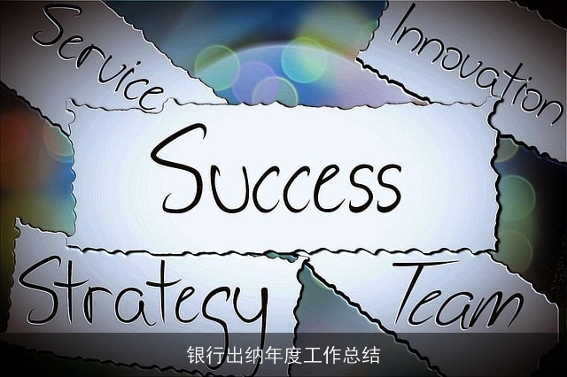 银行出纳年度工作总结