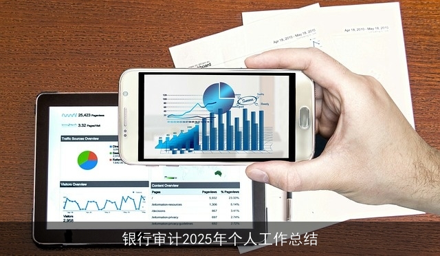银行审计2025年个人工作总结