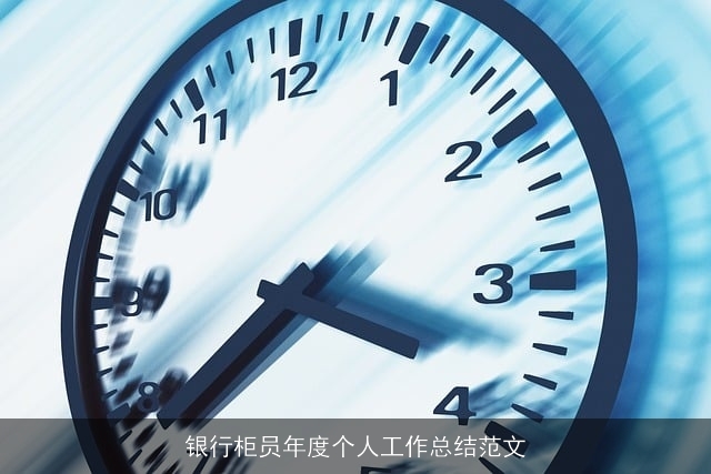 银行柜员年度个人工作总结范文