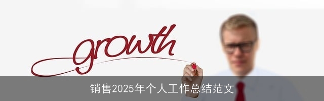 销售2025年个人工作总结范文