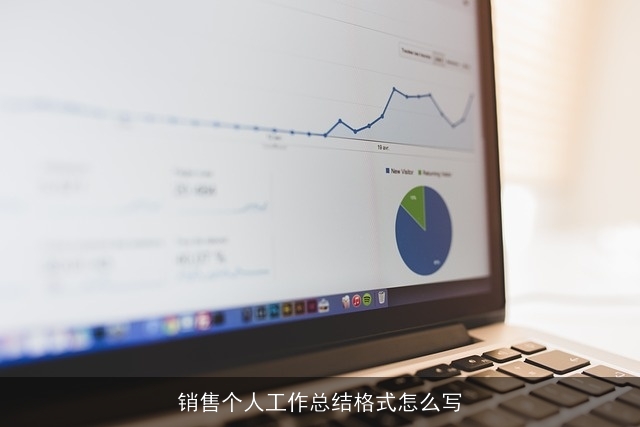 销售个人工作总结格式怎么写