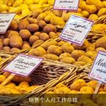 销售个人月工作总结