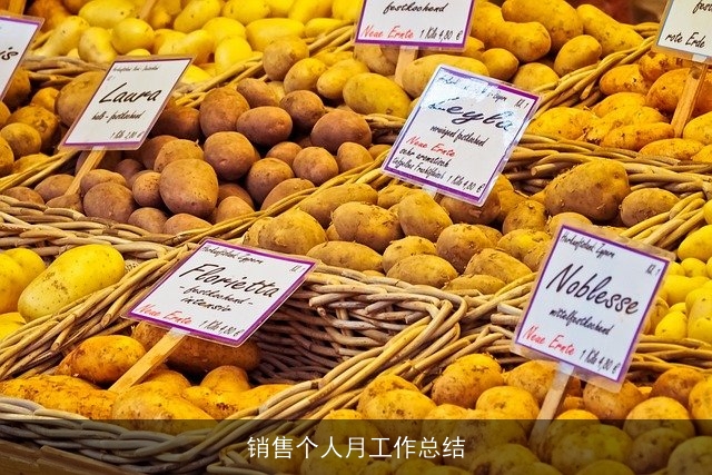 销售个人月工作总结