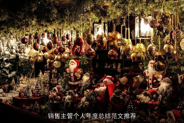 销售主管个人年度总结范文推荐