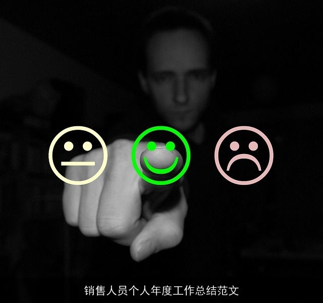 销售人员个人年度工作总结范文