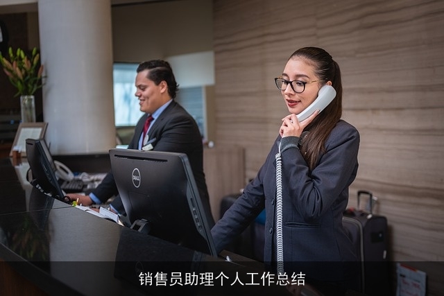 销售员助理个人工作总结