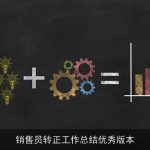 销售员转正工作总结优秀版本