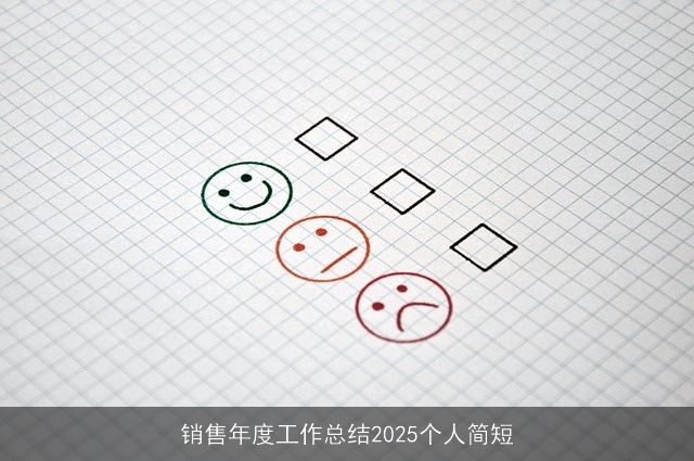 销售年度工作总结2025个人简短