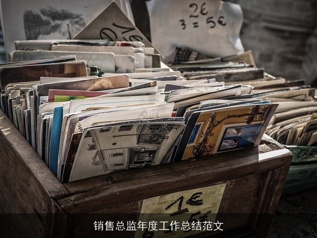 销售总监年度工作总结范文