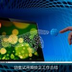 销售试用期转正工作总结