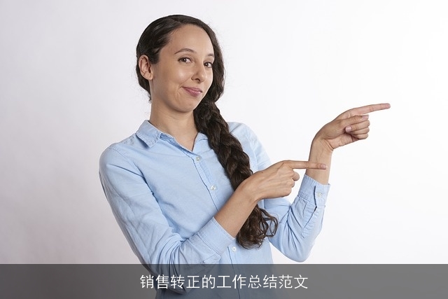 销售转正的工作总结范文