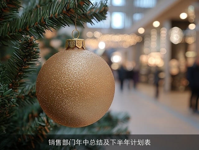 销售部门年中总结及下半年计划表