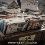 销售顾问年度工作总结范文欣赏
